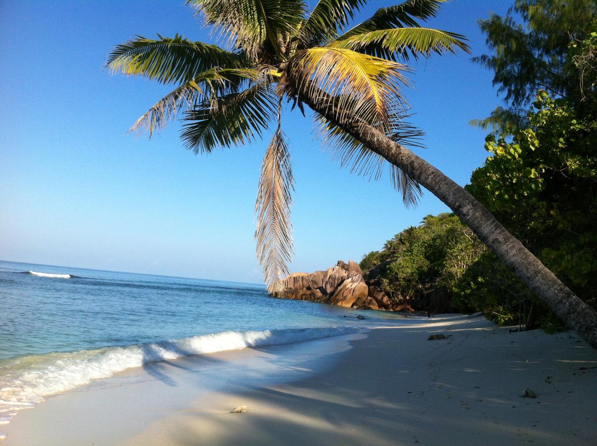Villas Du Voyageur Grand Anse  Dış mekan fotoğraf